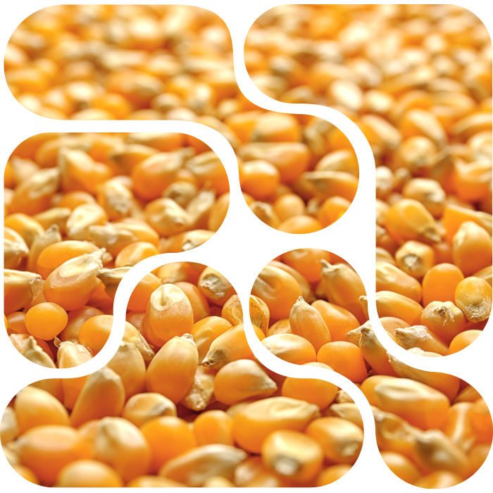 Global Trade and Logistics